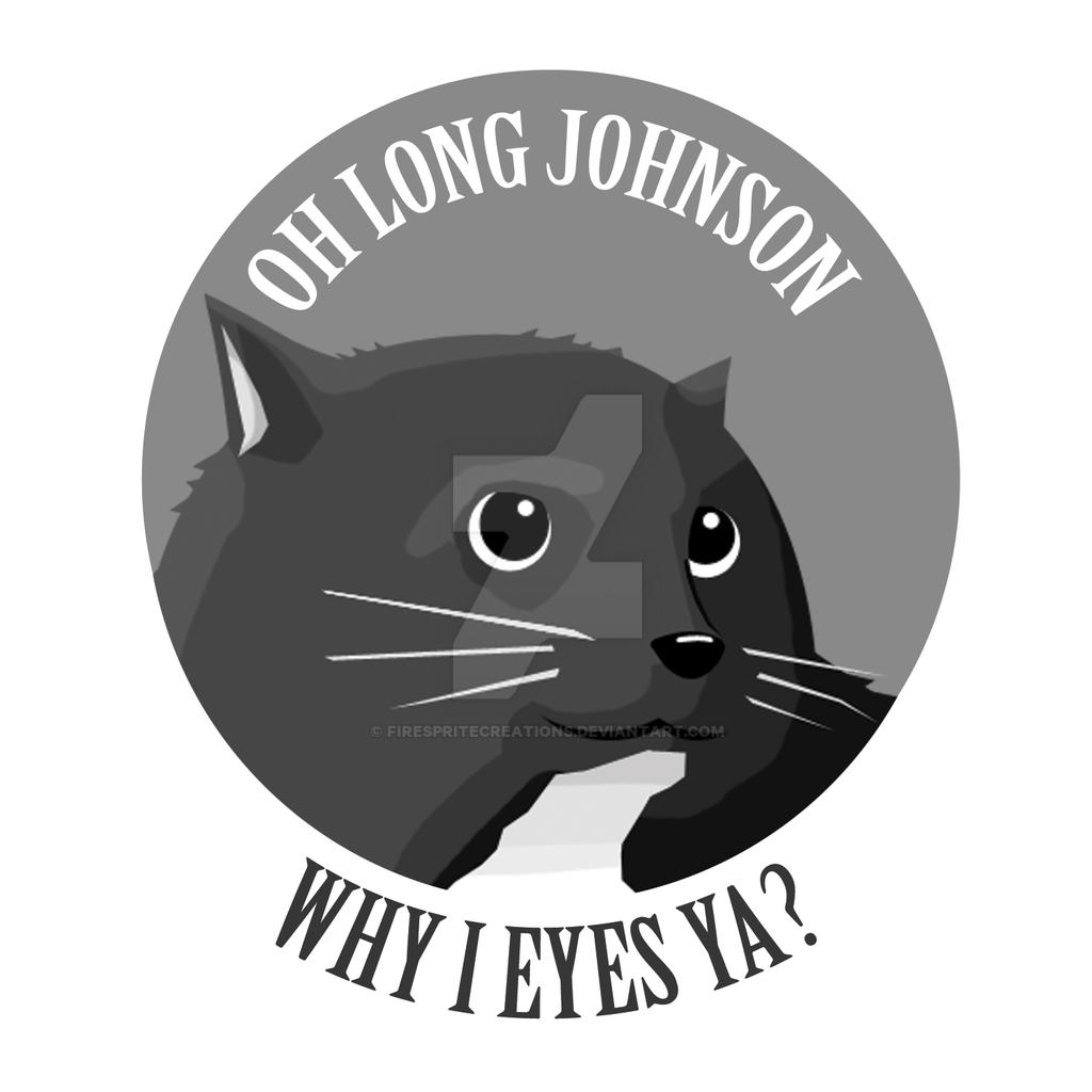 Cat Reacts To Oh Long Johnson Video 