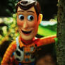 Woody in wonderland