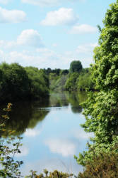 Spring Tyne