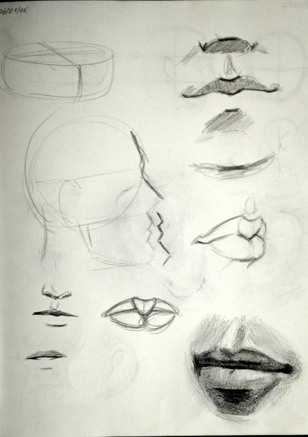 Lips Study