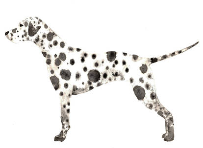 Ink Dalmatian