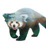 Blues Eyes Red Panda