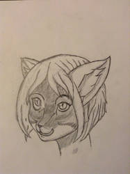 Anthro-practice