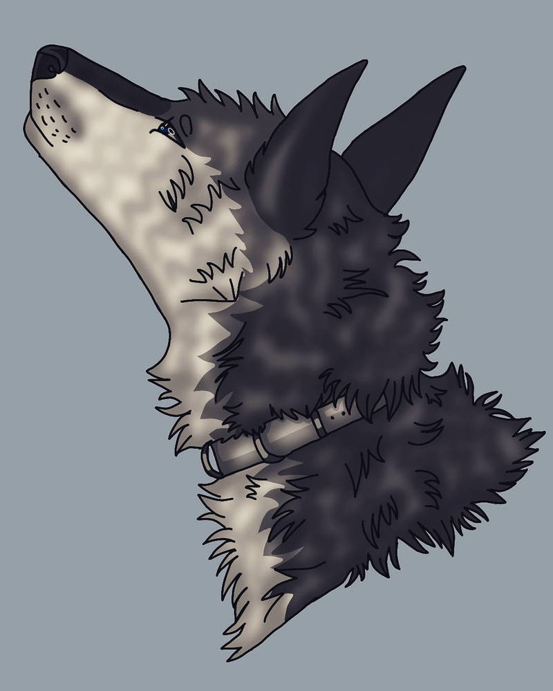 Wolf by infinitybravefireart on DeviantArt