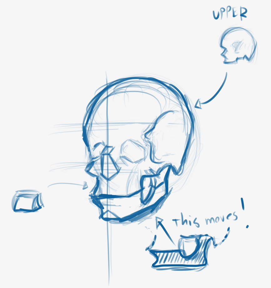 Skull notes by GSG95 on DeviantArt