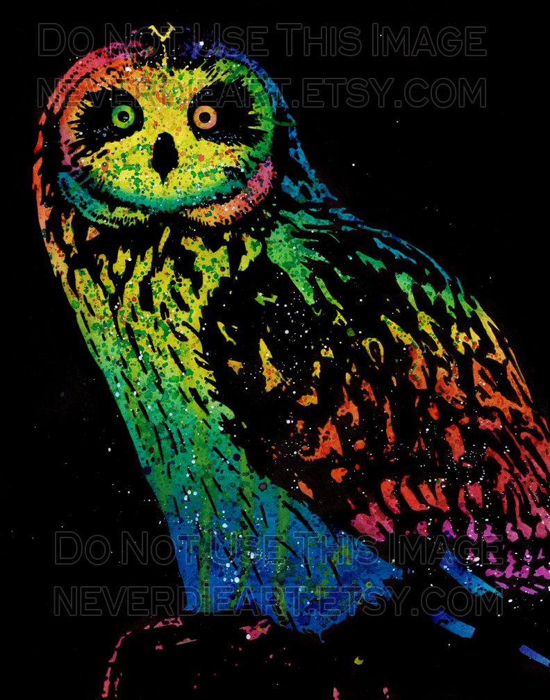 Owl Color Version
