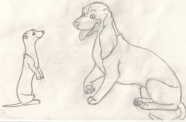 Dog and Ferret Sketch