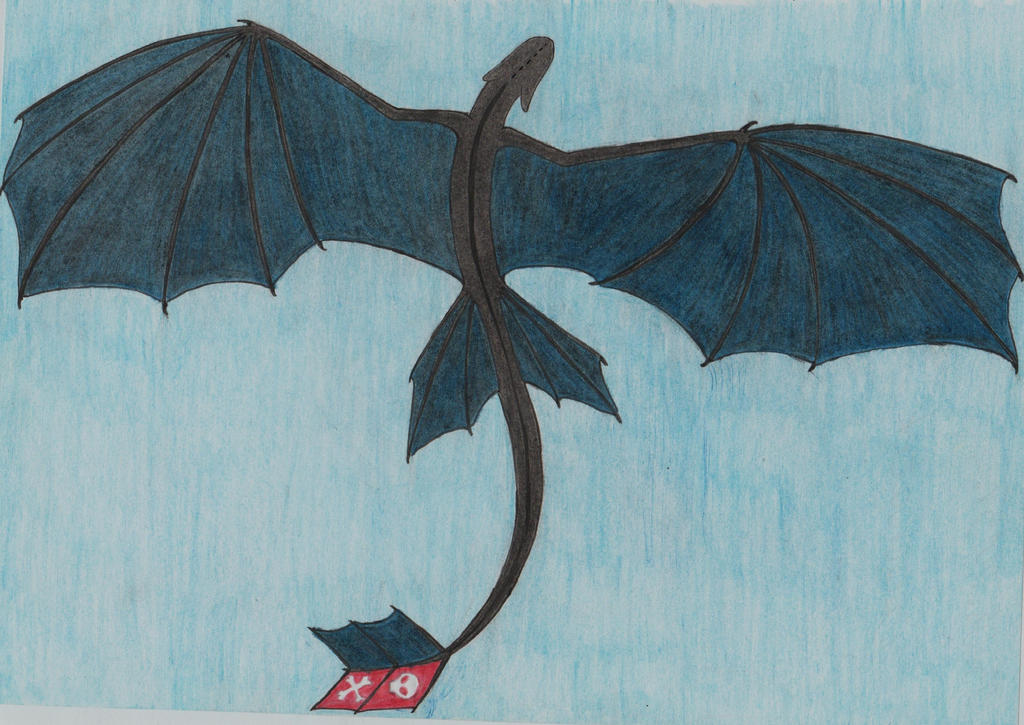 Toothless Fiying Toothless Flying From Above How To Train Your Dragon”