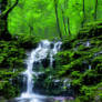 Waterfall in a Green Forest 10/16/2022
