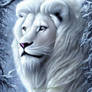 White Lion 2 11/13/2022