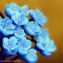 Blue Pastel Blossoms  12/2/2022