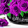 Purple Roses   Black Vase 12/5/2022