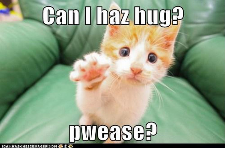 Can I haz hug