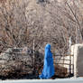 Woman with winter trees