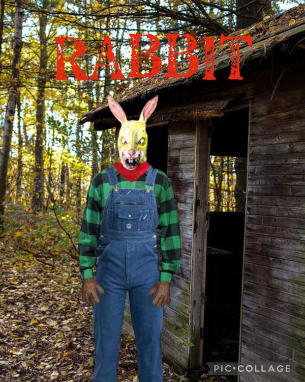 Rabbit poster by WesleySilvaramos526 on DeviantArt
