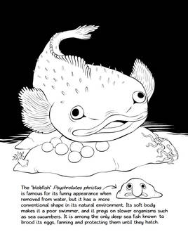 Deep Sea Coloring Page: The Truth About Blobfish