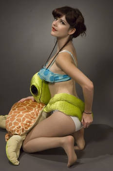 Turtle pin-up