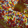 Rainbow Sprinkle Doughnut