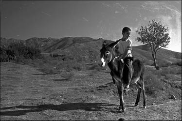 Country ride