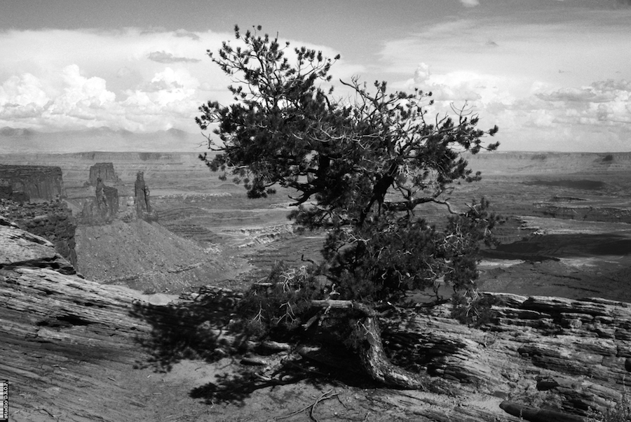 Canyonland