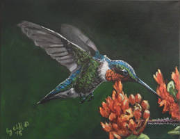 Hummingbird my painting