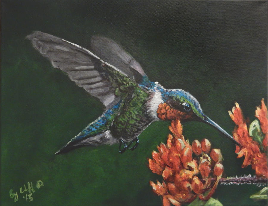 Hummingbird my painting