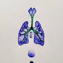 Lungs