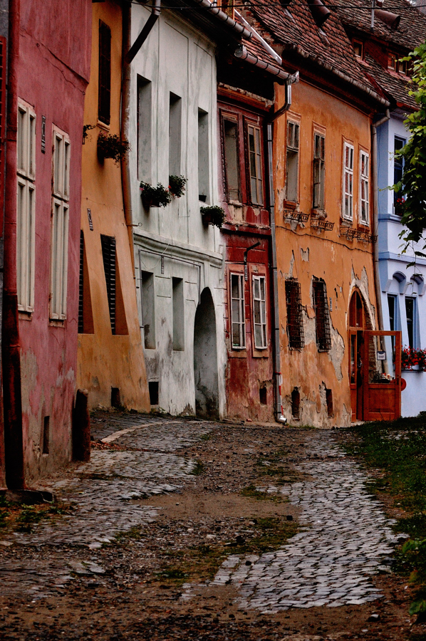 Sighisoara XII