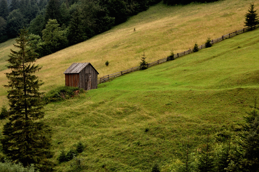 on the hillside