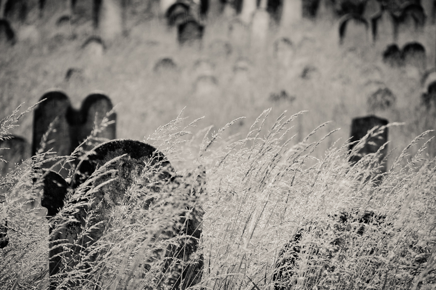 forgotten cemetery