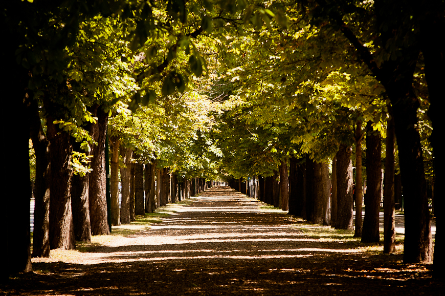 park in Vienna II