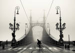 On a foggy day by torobala