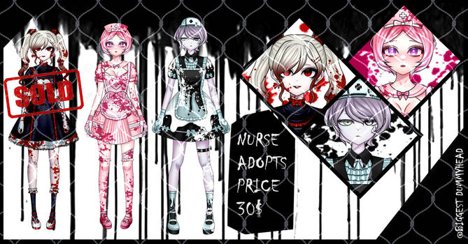 SET PRICE FULLBODY NURSE ADOPT