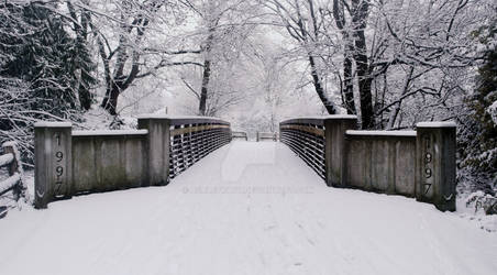 Park Bridge in Winter 2013