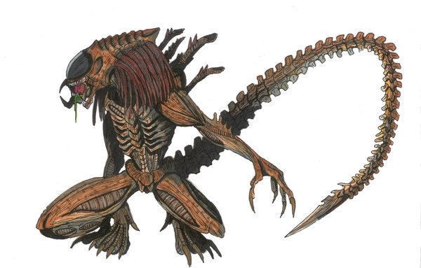 Predalien by XenomorphLovers on DeviantArt
