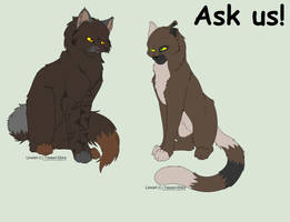 Ask Dewpelt and Ninestar!