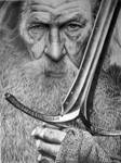 Gandalf the Grey by Aline96