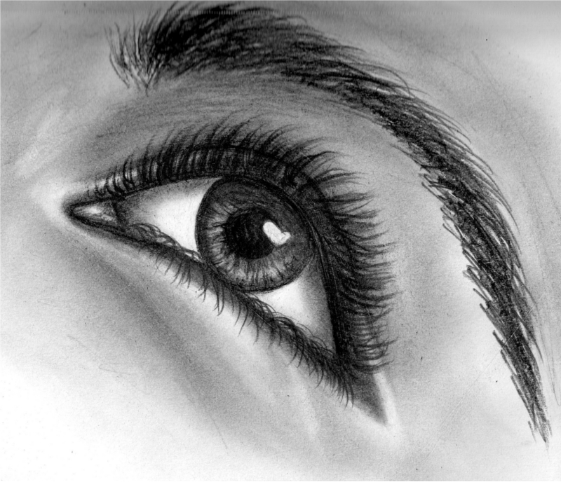 Eye Study 2