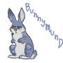 Bunnymund