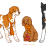 Harry Puppies