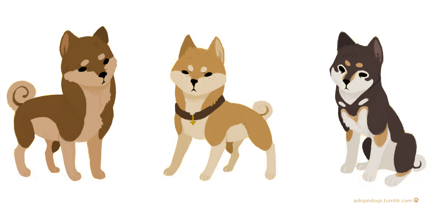 Team free shibas