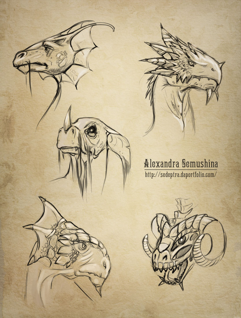 Dragons - scketches