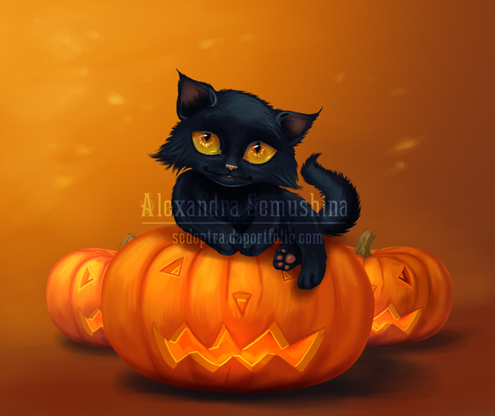 Halloween cat