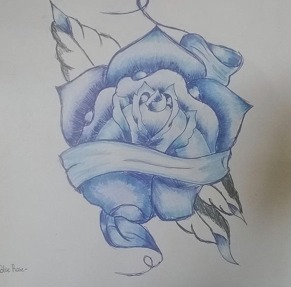 drawing blue rose (2013) by Oceancitrus97 on DeviantArt