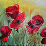 Poppies