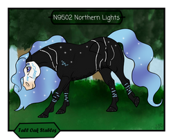 N9502 TOS Northern Lights