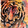 Tiger painting