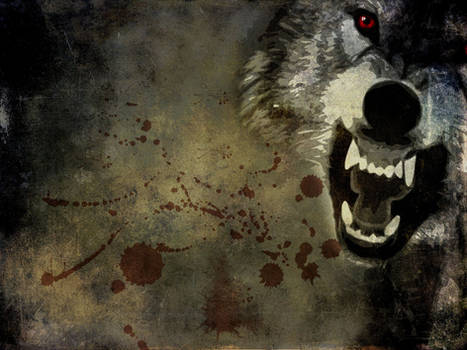 Angry wolf wallpaper