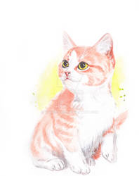 Kitten watercolor painting