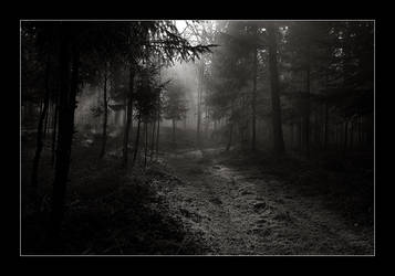 The Dark Way 1